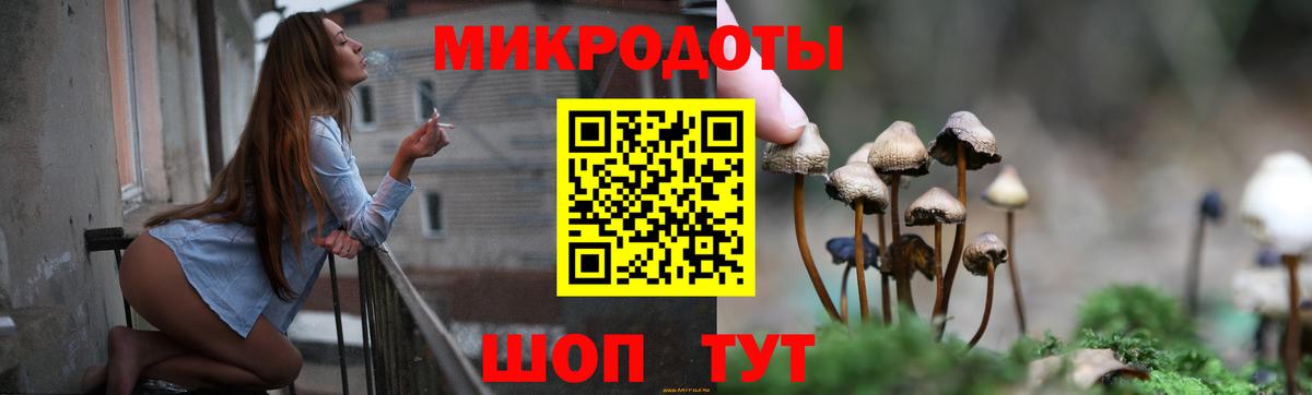 Псилоцибиновые грибы GOLDEN TEACHER  Вход с VPN  Сальск 